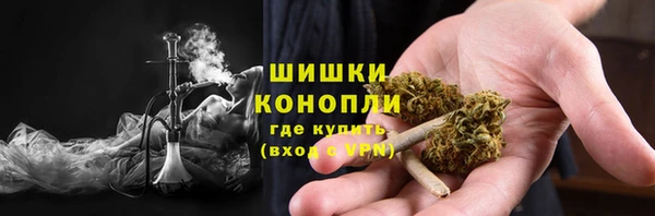 ГАЛЛЮЦИНОГЕННЫЕ ГРИБЫ Киреевск