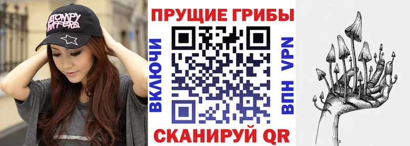 купить наркоту  Кировград  Псилоцибиновые грибы мицелий 